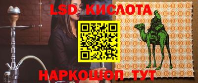 молекула духа Будённовск