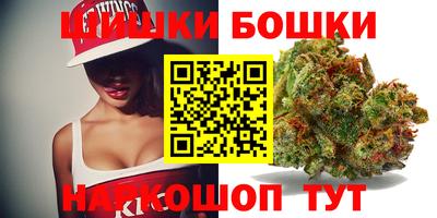 молекула духа Будённовск