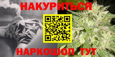 молекула духа Будённовск